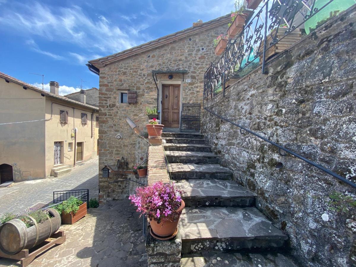 Panoramic Nest In Montalcino Βίλα Εξωτερικό φωτογραφία