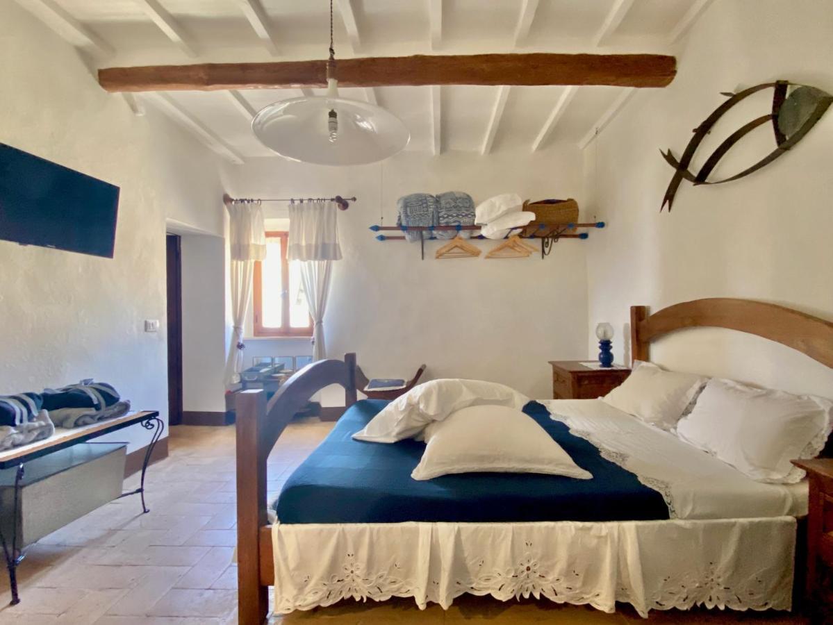 Panoramic Nest In Montalcino Βίλα Εξωτερικό φωτογραφία